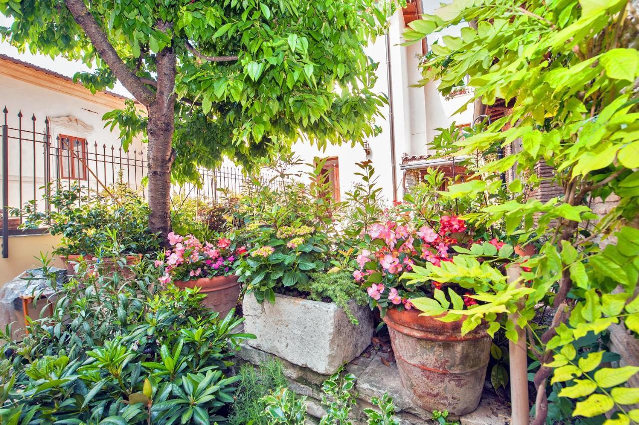 B&B Bone Novelle Dimora Storica Palazzo Zuzi Λ' Άκουιλα Εξωτερικό φωτογραφία